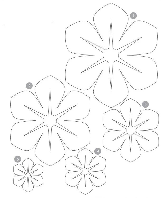 схема цветка